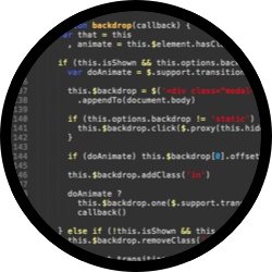 Web-Entwicklung